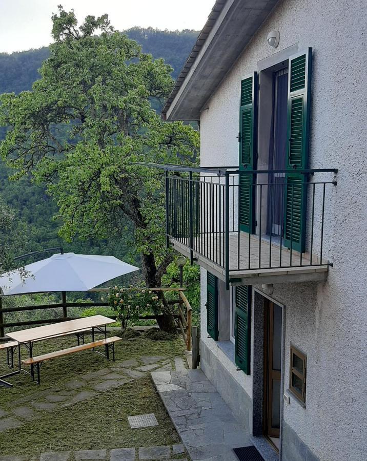 보르조나사 La Casa Di Amelia 빌라 외부 사진