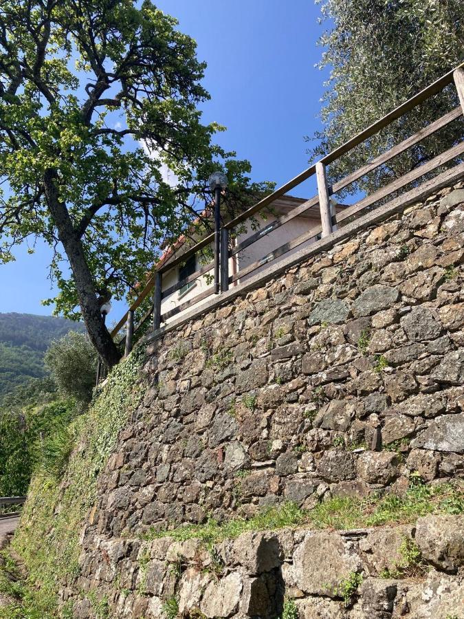 보르조나사 La Casa Di Amelia 빌라 외부 사진